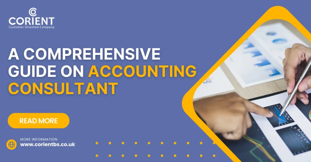 A Comprehensive Guide on Accounting Consultant