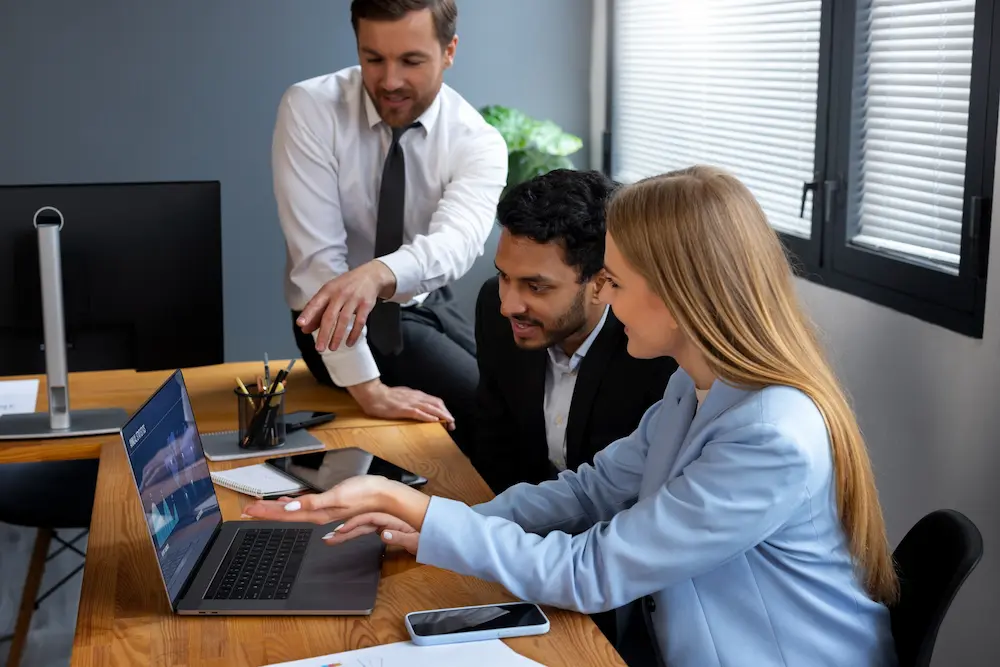 Overcoming IRIS Limitations With Accounting Outsourcing Services For Complete Compliance